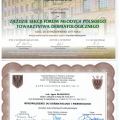 Powiększ obraz: certificate 2