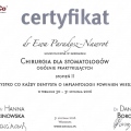 Powiększ obraz: certificate 11