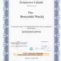 Powiększ obraz: certificate 13