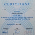 Powiększ obraz: certificate 8