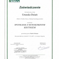 Powiększ obraz: certificate 3