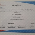 Powiększ obraz: certificate 11