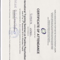 Powiększ obraz: certificate 4