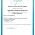 Powiększ obraz: certificate 21