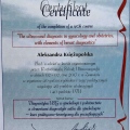 Powiększ obraz: certificate 9