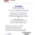 Powiększ obraz: certificate 1