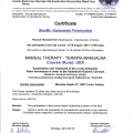 Powiększ obraz: certificate 2