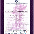 Powiększ obraz: certificate 9