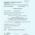 Powiększ obraz: certificate 7
