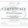 Powiększ obraz: certificate 47