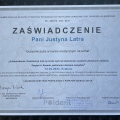 Powiększ obraz: certificate 6