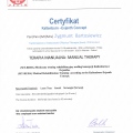 Powiększ obraz: certificate 43