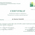 Powiększ obraz: certificate 20