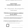 Powiększ obraz: certificate 4