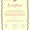 Powiększ obraz: certificate 28