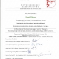 Powiększ obraz: certificate 15