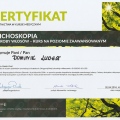 Powiększ obraz: certificate 64