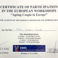 Powiększ obraz: certificate 3