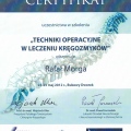 Powiększ obraz: certificate 6
