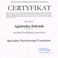 Powiększ obraz: certificate 1