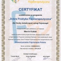 Powiększ obraz: certificate 9