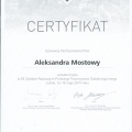 Powiększ obraz: certificate 4
