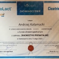 Powiększ obraz: certificate 23