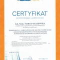 Powiększ obraz: certificate 7