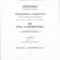 Powiększ obraz: certificate 8