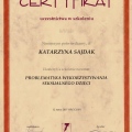 Powiększ obraz: certificate 5