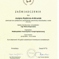 Powiększ obraz: certificate 1