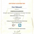 Powiększ obraz: certificate 30