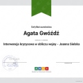 Powiększ obraz: certificate 6