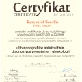 Powiększ obraz: certificate 1