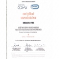Powiększ obraz: certificate 11