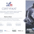 Powiększ obraz: certificate 11