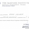 Powiększ obraz: certificate 2