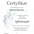 Powiększ obraz: certificate 14