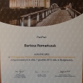 Powiększ obraz: certificate 17