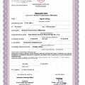 Powiększ obraz: certificate 2
