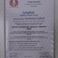 Powiększ obraz: certificate 9