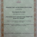 Powiększ obraz: certificate 8