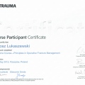 Powiększ obraz: certificate 5