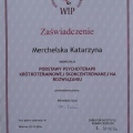 Powiększ obraz: certificate 4