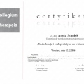 Powiększ obraz: certificate 3