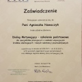 Powiększ obraz: certificate 1