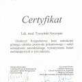 Powiększ obraz: certificate 4