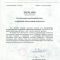 Powiększ obraz: certificate 3