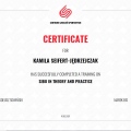 Powiększ obraz: certificate 46