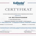 Powiększ obraz: certificate 1